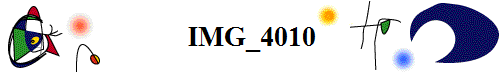 IMG_4010